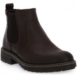 SportschoenenIgIampCOCAFFEFREDY