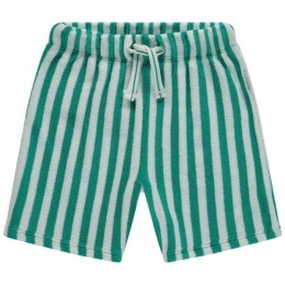 StainsStoriespeutershort