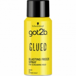 6xGot2bGluedHaarsprayMini100ml