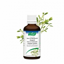 AvogelViscumAlbumDruppels50ml