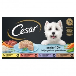6xCesarSenior10inGelei600gr