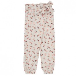 HarembroekNameitNMFDELFIN