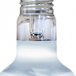 ArcadiaAquadistrisolarbaskingspotlight50wattArcadiaAquadistri-Aquadistri