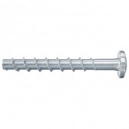 Fischer546378FBSIIPBetonschroef-TX30-60X40mm-Bolkop-Voldraad-Verzinkt100st