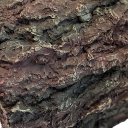 ReptoAquadistridecobarkxlReptoAquadistri-Aquadistri