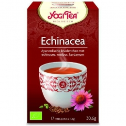 6xYogiteaEchinaceaBiologisch17stuks