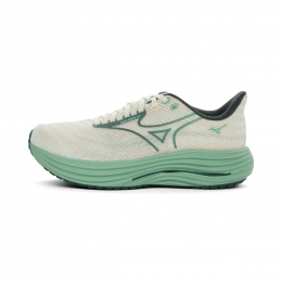 MizunoWaveRider29Heren