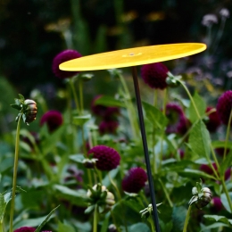 7stuksZonnevangersGeelgroot175x20cmCazadorDelSol-Cazadordelsol