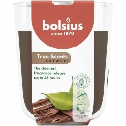 BolsiusGeurkaarsTrueScentsOudWood