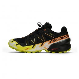 SalomonSpeedcross6GTXHeren