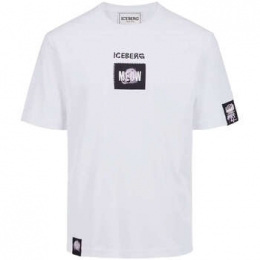 T-shirtKorteMouwIceberg-