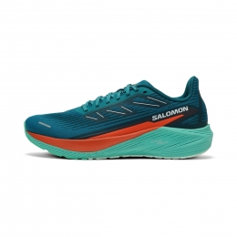 SalomonAeroBlaze2Heren