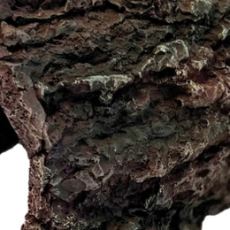 ReptoAquadistridecobarklReptoAquadistri-Aquadistri