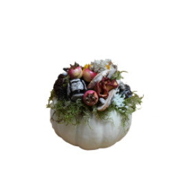 OutletOOpgemaakteEchtePompoenWit20cm-WarentuinCollection