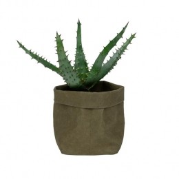 QUVIOPlantenzakuitwasbaar9x9x15cm-Donkergroen