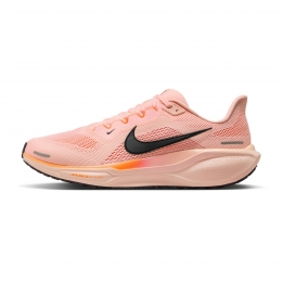 NikePegasus41Heren