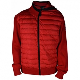 WindjackCanadaGoose-