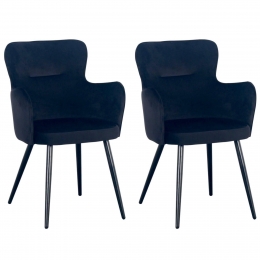 Setvan2eetkamerstoelenWingvelvetPoletoPole