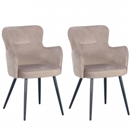 Setvan2eetkamerstoelenWingvelvetPoletoPole