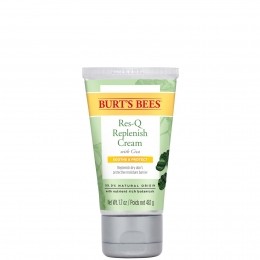 BurtsBees99NaturalOriginRes-QCrmemetCica50g