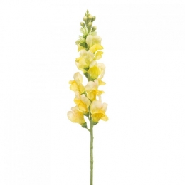 FleurdirectKunstbloemAntirrhinum--Polyester-0x78x0cmBxHxD