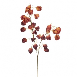 FleurdirectKunsttakPhysalis-BordeauxRood-Kunststof