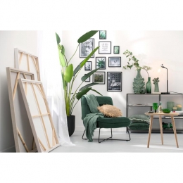 J-LinefotolijstBasic-hout-zwart-medium-2stuks