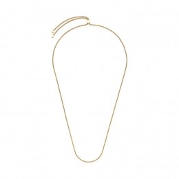 LeonardoKetting021588