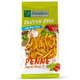 3xDamhertGlutenvrijPastaPenne250gr