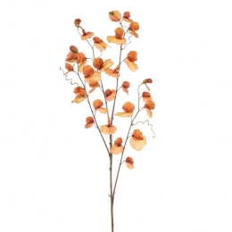 FleurdirectKunsttakLathyrus-OranjeTerra-Kunststof