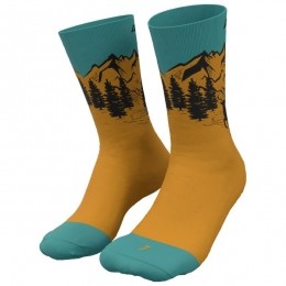 Dynafit-StayFastSocks-Hardloopsokkenmaat35-38meerkleurig