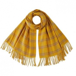 SjaalV1969STELLAsjaal