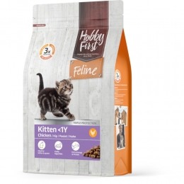 HobbyFirstFelineKitten