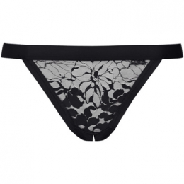 StringsLiscaOpenstringFlamenco