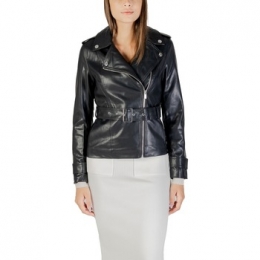 BlazerMorgan252-GPIL