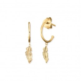 EngelsruferCreolenERE-FEDER-G-CR