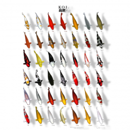 Koiposternr2a4gelamineerdAquadistri-Aquadistri