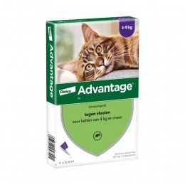 AdvantageAntiVlooiendruppels80Katvanaf4kg4pipetten