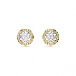 SwarovskiOorknopjesUna5686637