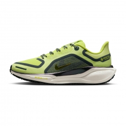 NikePegasus41GTXDames