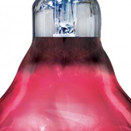 ArcadiaAquadistriinfraroodwarmtespot100wattArcadiaAquadistri-Aquadistri