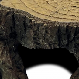 ReptoAquadistridecotrunklReptoAquadistri-Aquadistri