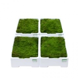 OutletGVierkistenplatmosplaatmos4lagenmosperkistWarentuinNatuurlijk-WarentuinCollection