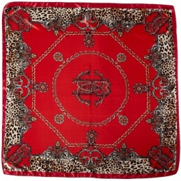 SjaalV1969Robertozijdencarr