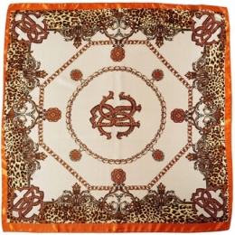 SjaalV1969Robertozijdencarr