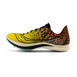 SauconyEndorphinCheetahUnisex