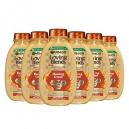 6xGarnierLovingBlendsHoningGoudShampoo300ml