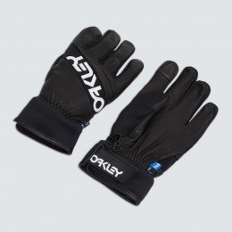 OakleyFactoryWinterGloves20