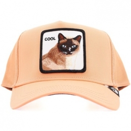 PetGoorinBrosCOOLCAT