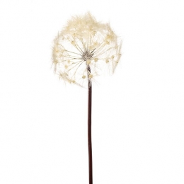 FleurdirectKunsttakDandelion-Beige-Kunststof-0x91x0cmBxHxD